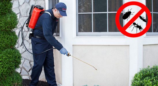 Maden Kemirgen İlaçlama böcek ilaçlama ve haşere kontrolü — ilaclama-tr.com